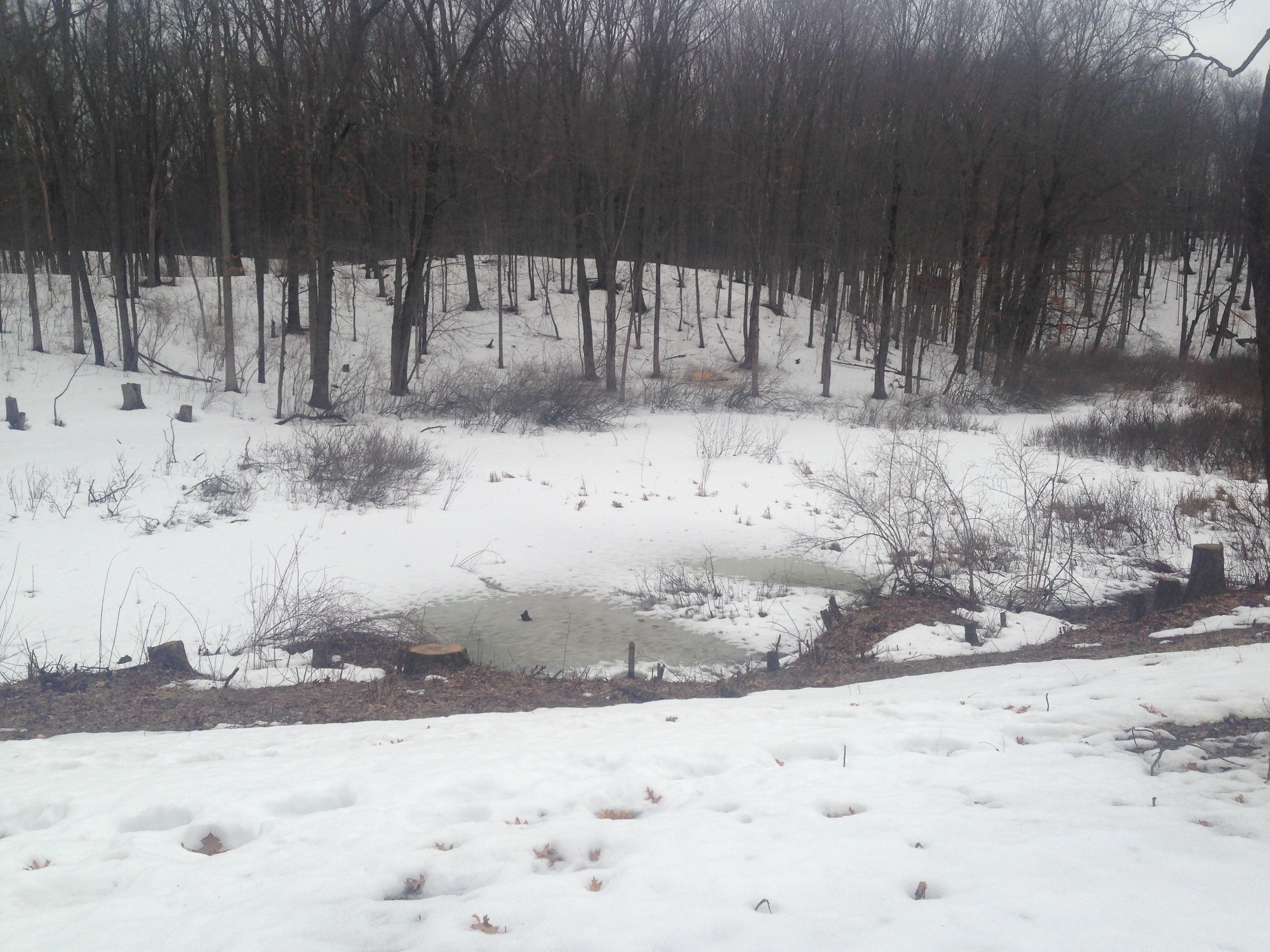 Wetland_pond_construction_Pinckney_Michigan_2.jpg