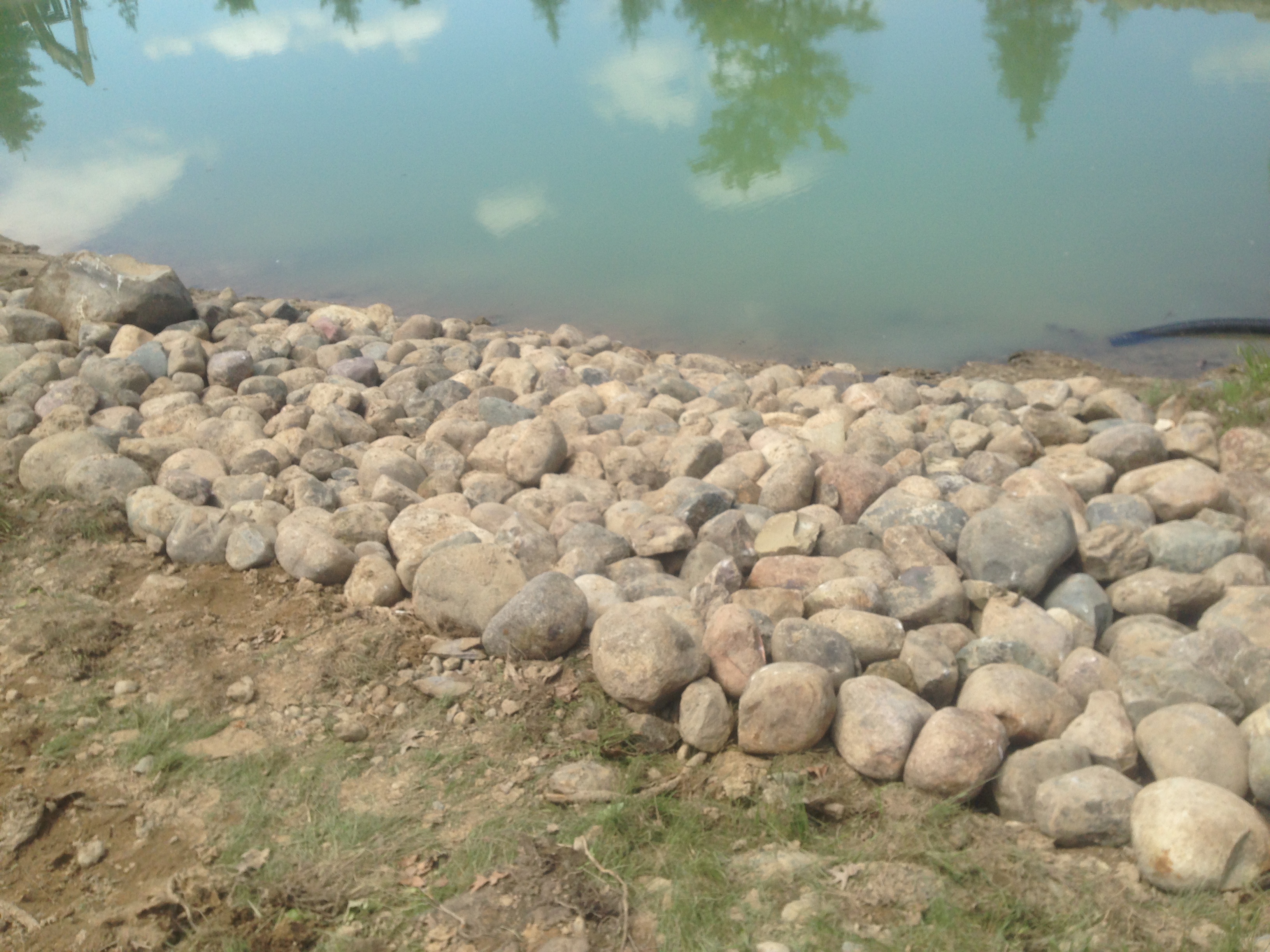 _Backyard_pond_bank_stabilization_Michigan_Howell_4.jpg