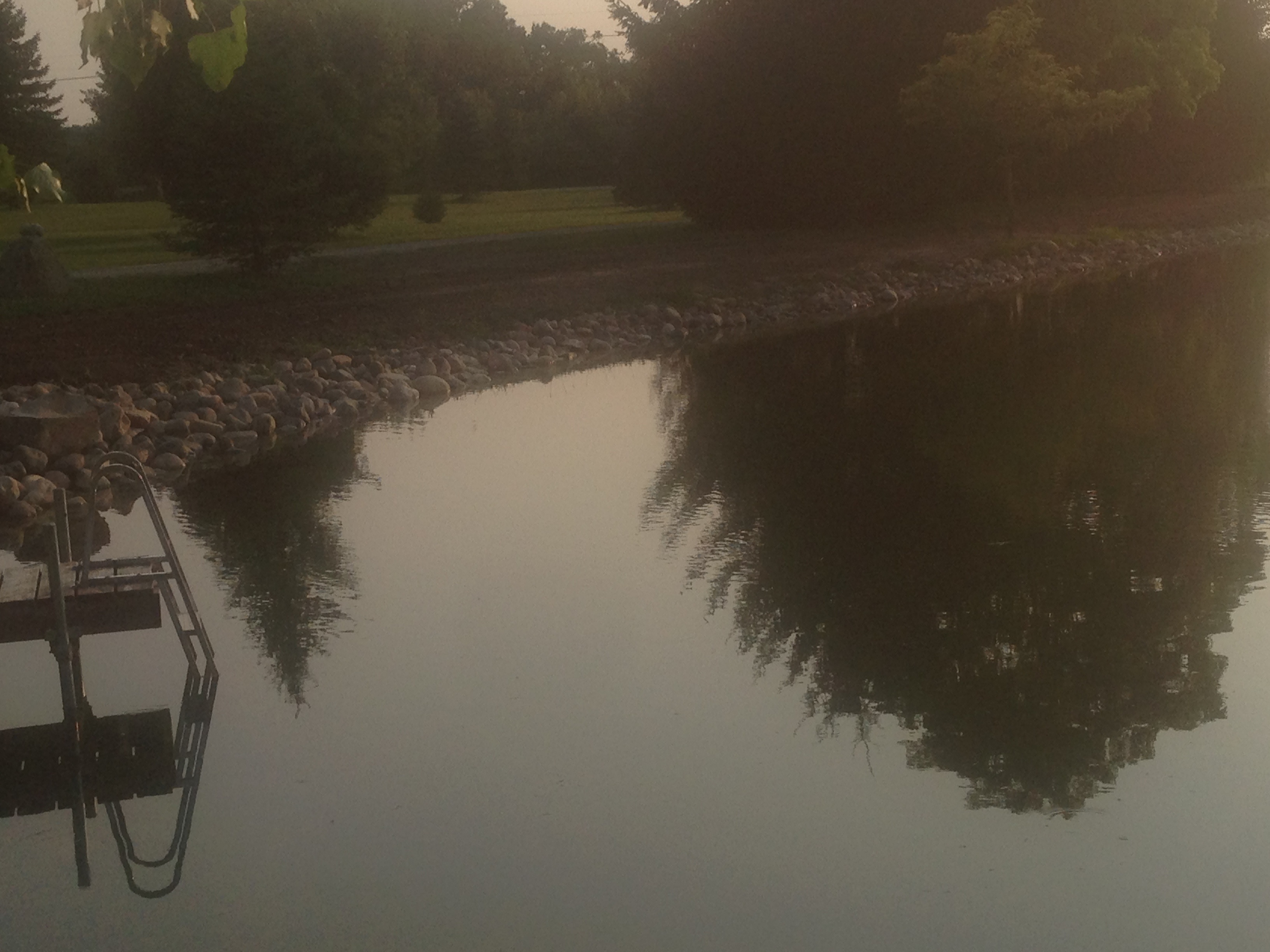 _Backyard_pond_bank_stabilization_Michigan_Howell_5.jpg