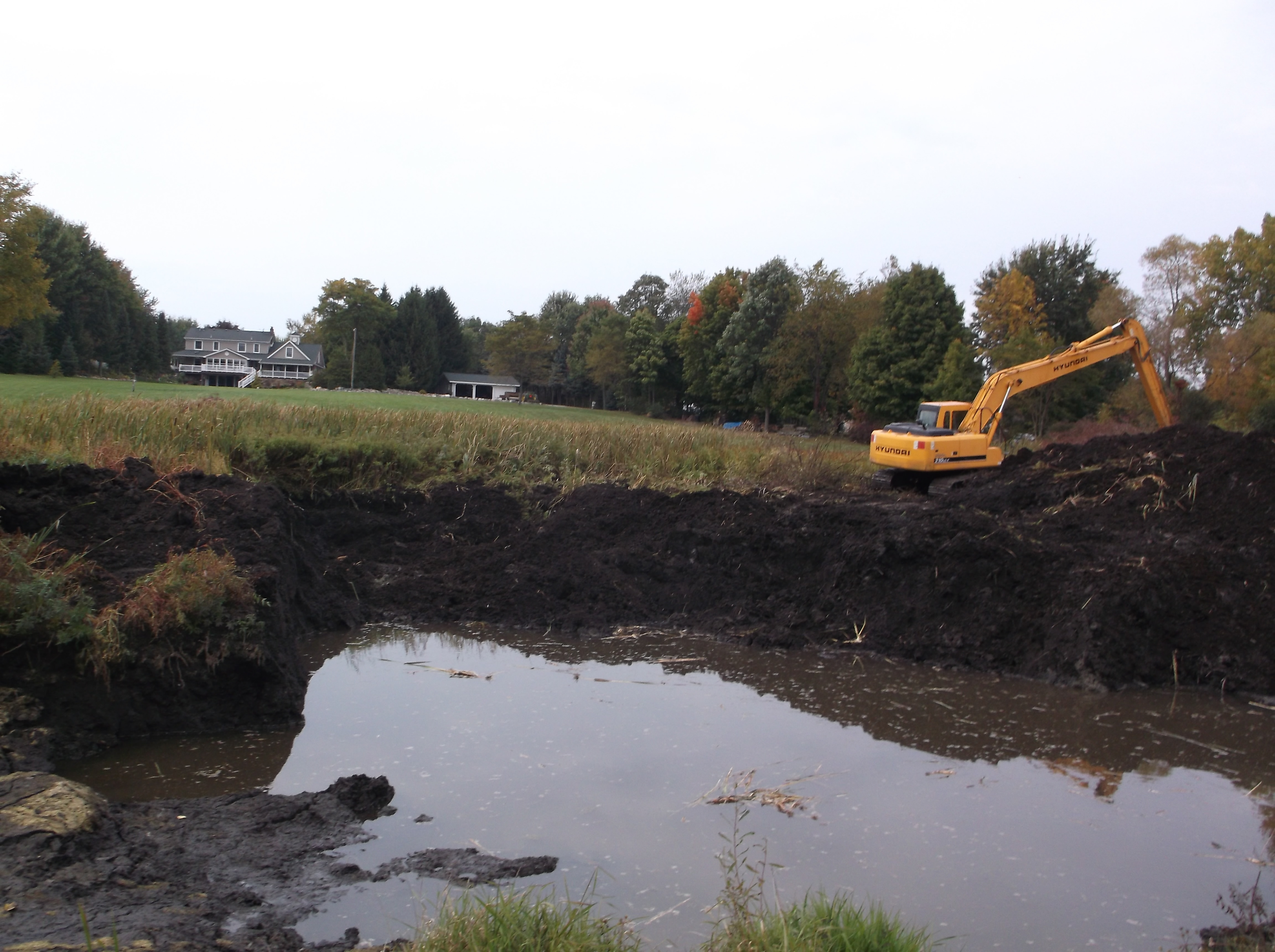 fish_pond_excavation_Plymouth_Michigan_36.jpg